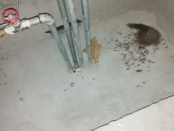 赤峰卫生间测漏水价格明细